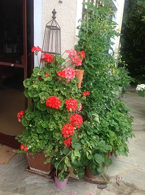 Jede Menge Blumen