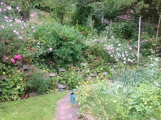 Unser Garten