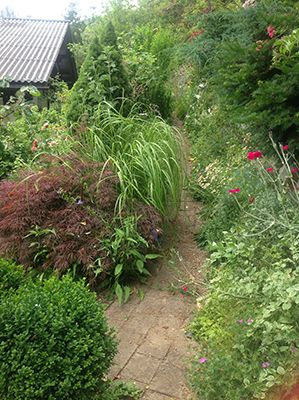 Unser Garten