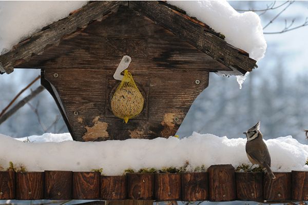 Besucher am Voglehaus